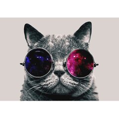 Fototapetai - Katinas su akiniais kaina ir informacija | Fototapetai | pigu.lt