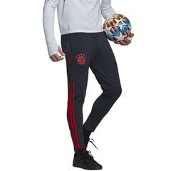 Spotinės kelnės vyrams Adidas HG1352 kaina ir informacija | Sportinė apranga vyrams | pigu.lt