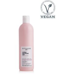 Блестящий крем от вьющихся волос Byphasse Discipline Liss' (250 ml) цена и информация | Средства для укладки волос | pigu.lt