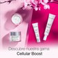 Dieninis kremas Neutrogena Cellular Boost Spf 20, 50 ml kaina ir informacija | Veido kremai | pigu.lt