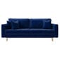 Sofa Selsey Valico, mėlyna kaina ir informacija | Sofos | pigu.lt