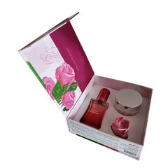 Dovanų rinkinys Regina Roses BRR044: dieninis kremas, 40 ml + glicerino muilas, 35 g + kvepalai, 30 ml kaina ir informacija | Kūno kremai, losjonai | pigu.lt