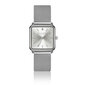 Laikrodis moterims Amelia Parker SAC51 цена и информация | Moteriški laikrodžiai | pigu.lt