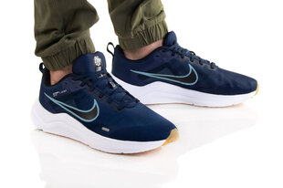 Kedai vyrams Nike Downshifter 12 DD9293-400, mėlyni цена и информация | Кроссовки для мужчин | pigu.lt