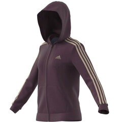 Adidas vyriškas džemperis Essentials Hoodie M H59088 цена и информация | Мужская спортивная одежда | pigu.lt