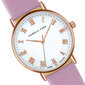 Laikrodis moterims Isabella Ford FA6S068R kaina ir informacija | Moteriški laikrodžiai | pigu.lt
