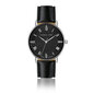 Laikrodis moterims Isabella Ford FA7S018S цена и информация | Moteriški laikrodžiai | pigu.lt