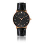 Laikrodis moterims Isabella Ford FA9S078R kaina ir informacija | Moteriški laikrodžiai | pigu.lt