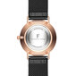 Laikrodis moterims Isabella Ford FC7-B048B цена и информация | Moteriški laikrodžiai | pigu.lt