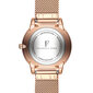 Laikrodis moterims Isabella Ford SFB3-1 цена и информация | Moteriški laikrodžiai | pigu.lt