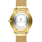 Laikrodis moterims Isabella Ford SFB4-1 kaina ir informacija | Moteriški laikrodžiai | pigu.lt