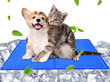 Vėsinantis kilimėlis šunims ir katėms, 90 cm. kaina ir informacija | Guoliai, pagalvėlės | pigu.lt