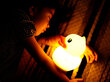 Vaikiška naktinė lemputė su pulteliu цена и информация | Vaikiški šviestuvai | pigu.lt