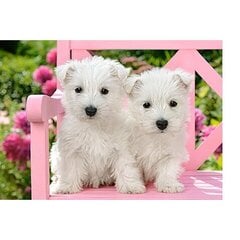 Dėlionė White Terrier Puppies Castorland, 260 det. цена и информация | Пазлы | pigu.lt