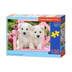 Dėlionė White Terrier Puppies Castorland, 260 det. цена и информация | Пазлы | pigu.lt