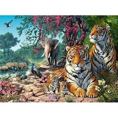 Dėlionė, Tiger Sanctuary, Castorland, 3000 det. kaina ir informacija | Dėlionės (puzzle) | pigu.lt