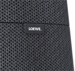 Loewe Klang MR5 Multiroom Speaker, pilka kaina ir informacija | Garso kolonėlės | pigu.lt