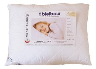 Подушка Bielbaw цена и информация | Подушки | pigu.lt