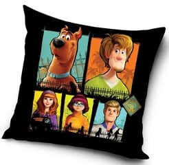 Детская наволочка для декоративной подушечки Scooby-Doo цена и информация | Декоративные подушки и наволочки | pigu.lt