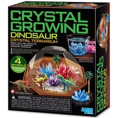 Кристаллический террариум с динозаврами Crystal Cultivation 4M kaina ir informacija | Развивающие игрушки | pigu.lt