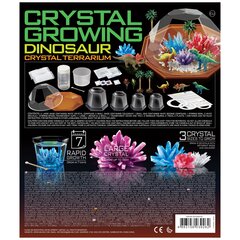 Кристаллический террариум с динозаврами Crystal Cultivation 4M  цена и информация | Развивающие игрушки | pigu.lt