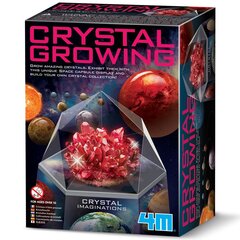 Развивающая игрушка 4M Growing Crystals: красные кристаллы цена и информация | Развивающие игрушки | pigu.lt