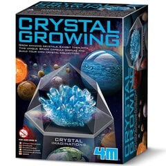 Развивающая игрушка 4M Growing Crystals: синие кристаллы цена и информация | Развивающие игрушки | pigu.lt