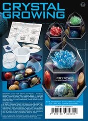 Развивающая игрушка 4M Growing Crystals: синие кристаллы цена и информация | Развивающие игрушки | pigu.lt
