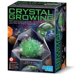 Kūrybinis rinkinys 4M Kristalų auginimas: žali kristalai kaina ir informacija | Lavinamieji žaislai | pigu.lt
