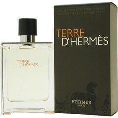 Мужские духи Hermes Terre d'Hermes EDT для мужчин 100 мл цена и информация | Мужские духи | pigu.lt