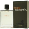 Tualetinis vanduo Hermes Terre d'Hermes EDT vyrams 100 ml