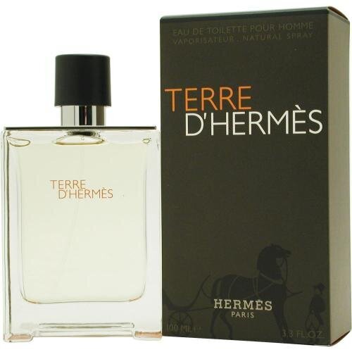 Tualetinis vanduo Hermes Terre d'Hermes EDT vyrams 100 ml цена и информация | Kvepalai vyrams | pigu.lt