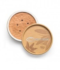 Natūrali BIO mineralinė pudra Couleur Caramel 6 g, N825/05 цена и информация | Пудры, базы под макияж | pigu.lt