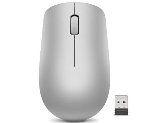 Lenovo Wireless Mouse 530 Platinum Grey 2.4 GHz kaina ir informacija | Pelės | pigu.lt