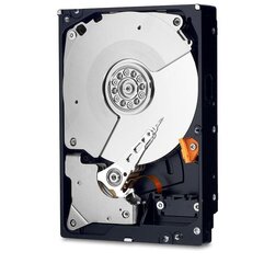 WD WD4005FZBX HDD kaina ir informacija | Vidiniai kietieji diskai (HDD, SSD, Hybrid) | pigu.lt