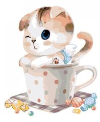 Kартины по номерам " Кот и конфета " 40x50 G KTMK-469291 цена и информация | Живопись по номерам | pigu.lt