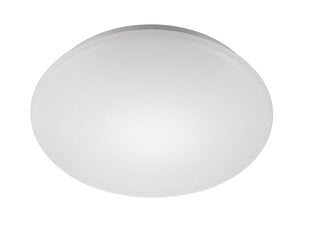 LED lubinis šviestuvas G.LUX GW-CP-LED-12W kaina ir informacija | Lubiniai šviestuvai | pigu.lt