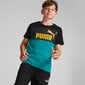 Marškinėliai vaikams Puma 84612727, žali цена и информация | Marškinėliai berniukams | pigu.lt