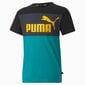 Marškinėliai vaikams Puma 84612727, žali цена и информация | Marškinėliai berniukams | pigu.lt