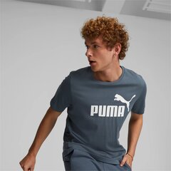 Мужская футболка Puma 586667*10, серая цена и информация | Мужские футболки | pigu.lt