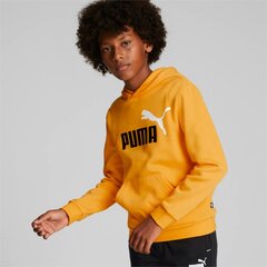 Детская толстовка Puma 586987*39, жёлтая / чёрная цена и информация | Свитеры, жилетки, пиджаки для мальчиков | pigu.lt