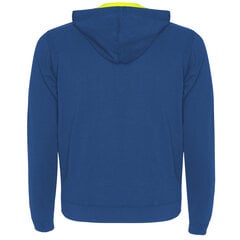 Худи джемпер FUJI сине-желтый цена и информация | Мужские свитера | pigu.lt