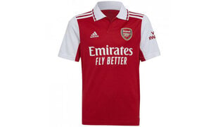 Футболка для мужчин Adidas Tiro 17, красная цена и информация | Рубашка для мальчиков | pigu.lt