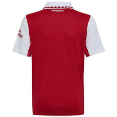 Футболка для мужчин Adidas Tiro 17, красная цена и информация | Рубашки для мальчиков | pigu.lt