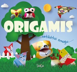 Origamis 2 kaina ir informacija | Lavinamosios knygos | pigu.lt