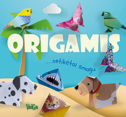 Origamis 1 kaina ir informacija | Lavinamosios knygos | pigu.lt