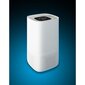 Oro valytuvas Lanaform Smart Air Purifier AV-99C kaina ir informacija | Oro valytuvai | pigu.lt