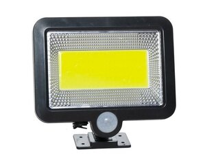 Уличный светильник LED100 цена и информация | Уличные светильники | pigu.lt