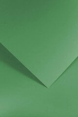 Фактурный картон Gladki, зеленый цена и информация | Kanceliarinės prekės | pigu.lt