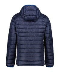 Мужская куртка Icepeak Bagley 56010-2*390, тёмно-синяя цена и информация | Мужские куртки | pigu.lt